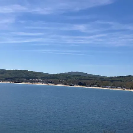 лариди 소조폴